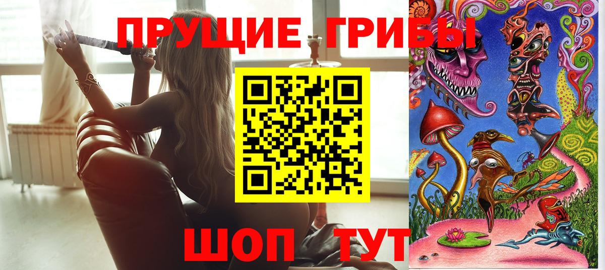 Псилоцибиновые грибы GOLDEN TEACHER Орехово-Зуево