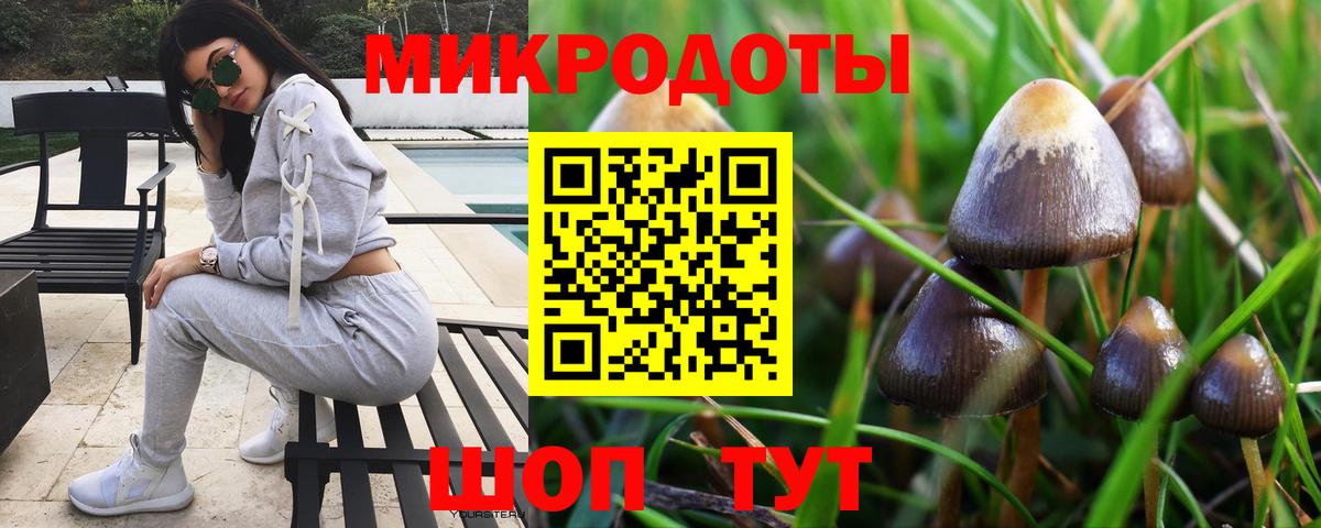 Орехово-Зуево  Галлюциногенные грибы мицелий  Вход с VPN 