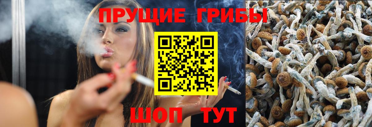 Псилоцибиновые грибы GOLDEN TEACHER  Вход с VPN  Орехово-Зуево 